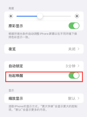 潍坊苹果授权维修站分享iPhone轻点无法唤醒怎么办