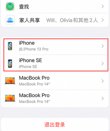 潍坊苹潍坊果维修网点分享iPhone如何查询序列号