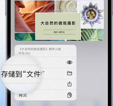 潍坊apple维修中心分享iPhone文件应用中存储和找到下载文件