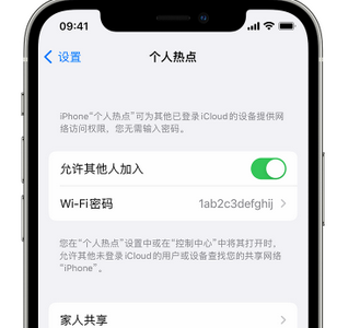 潍坊apple服务站点分享iPhone上个人热点丢失了怎么办 