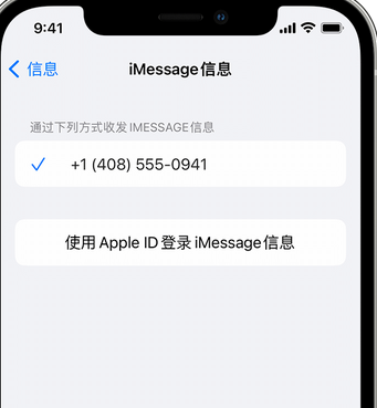 潍坊apple维修iPhone上无法正常发送iMessage信息 