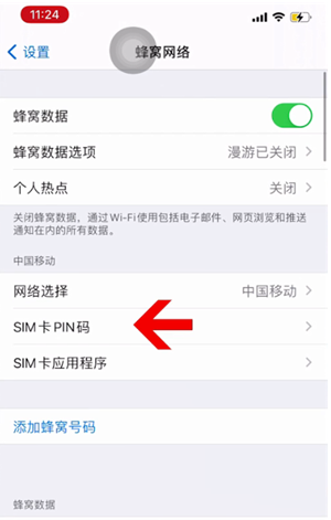 潍坊苹果14维修网分享如何给iPhone14的SIM卡设置密码 