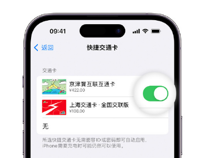 潍坊apple维修点分享iPhone上更换Apple Pay快捷交通卡手绘卡面 