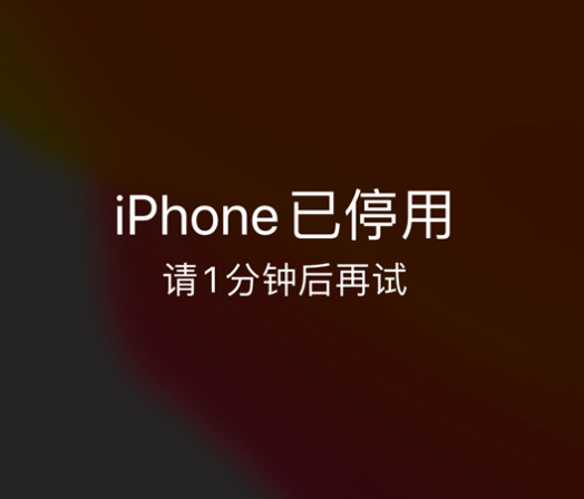 潍坊苹果手机维修分享:iPhone 显示“不可用”或“已停用”怎么办？还能保留数据吗？ 