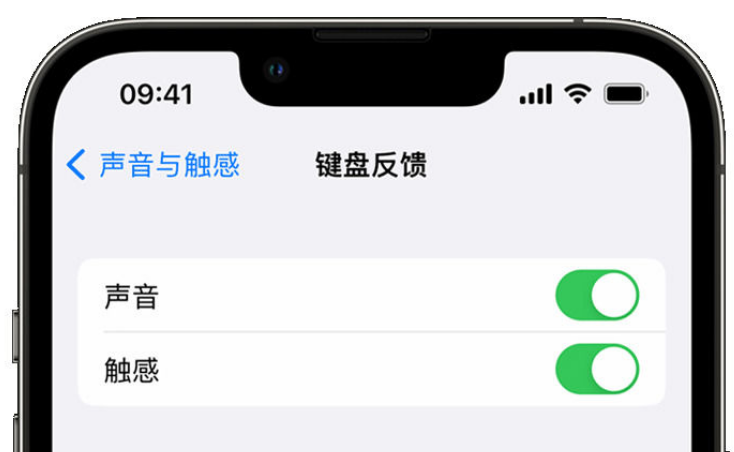 潍坊苹果手机维修分享iPhone 14触感键盘使用方法 