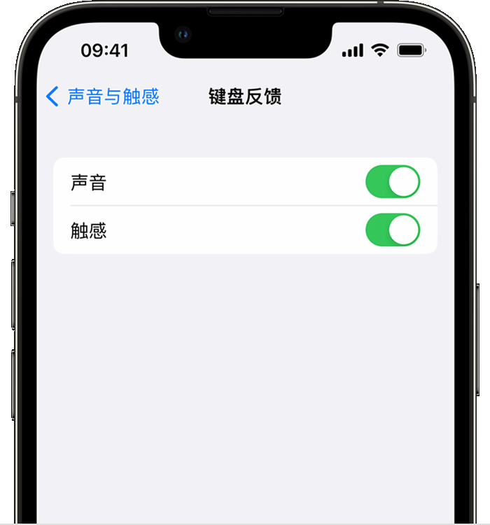 潍坊苹果14维修店分享如何在 iPhone 14 机型中使用触感键盘 