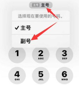 潍坊苹果14维修店分享iPhone 14 Pro Max使用副卡打电话的方法 