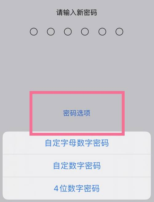 潍坊苹果14维修分享iPhone 14plus设置密码的方法 