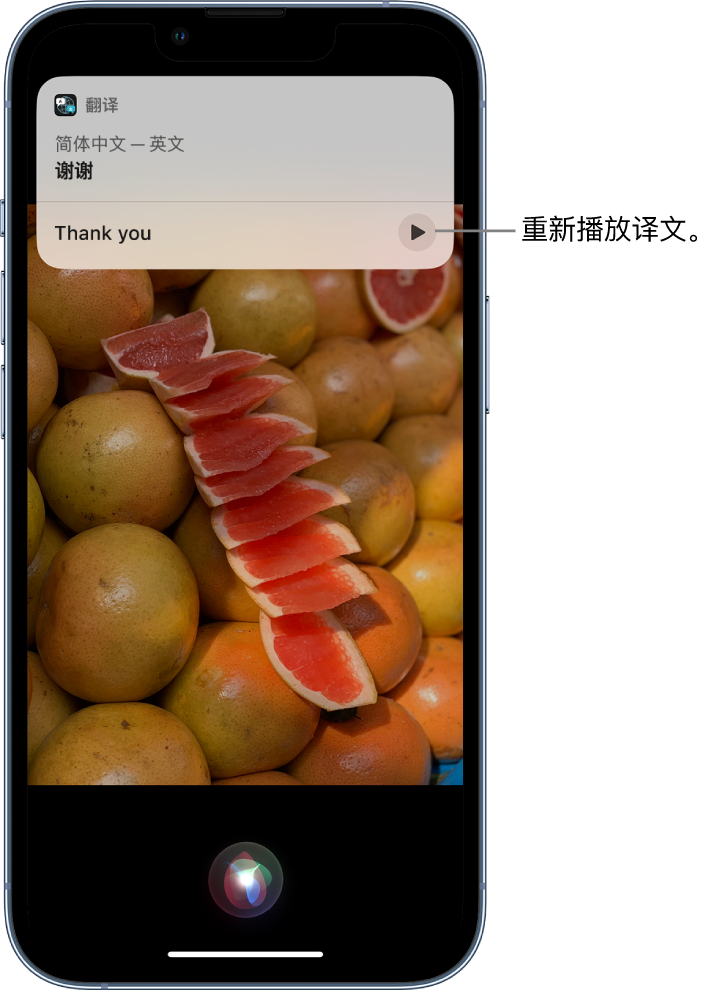 潍坊苹果14维修分享 iPhone 14 机型中使用 Siri：了解 Siri 能帮你做什么 