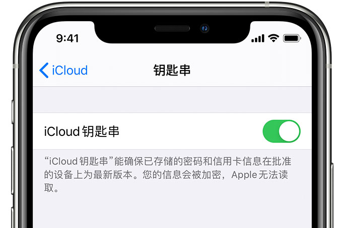 潍坊苹果手机维修分享在 iPhone 上开启 iCloud 钥匙串之后会储存哪些信息 