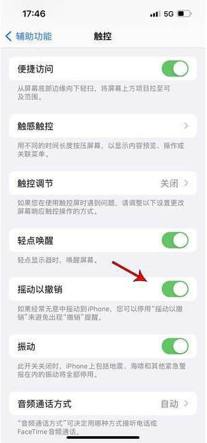 潍坊苹果手机维修分享iPhone手机如何设置摇一摇删除文字 