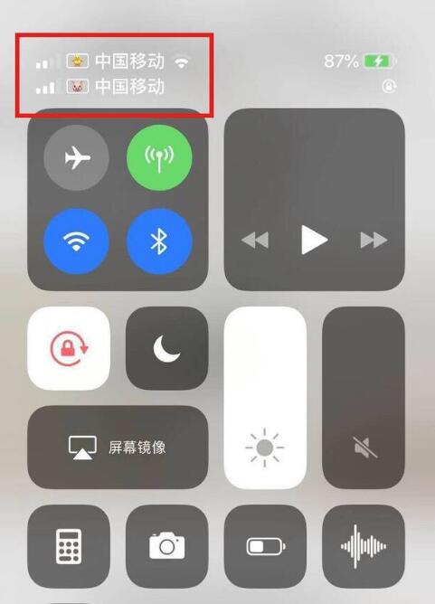潍坊苹果手机维修分享为 iPhone 12 双卡设置标签 