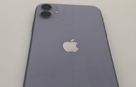 潍坊苹果11系统维修分享iPhone11手机系统崩溃无法开机如何解决 